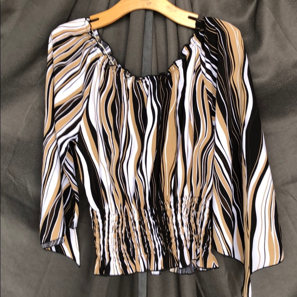 Blousey Sleeve Dressy Top